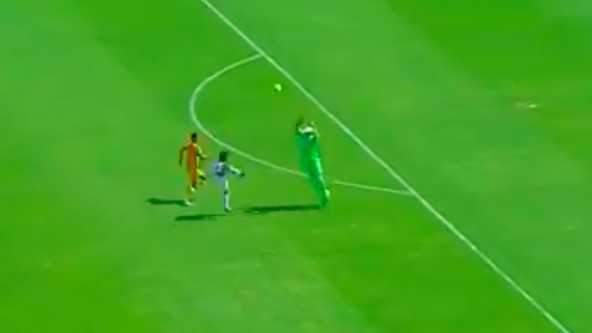 Alustiza Pumas - Tigres