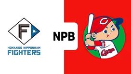 Nihonham Carp