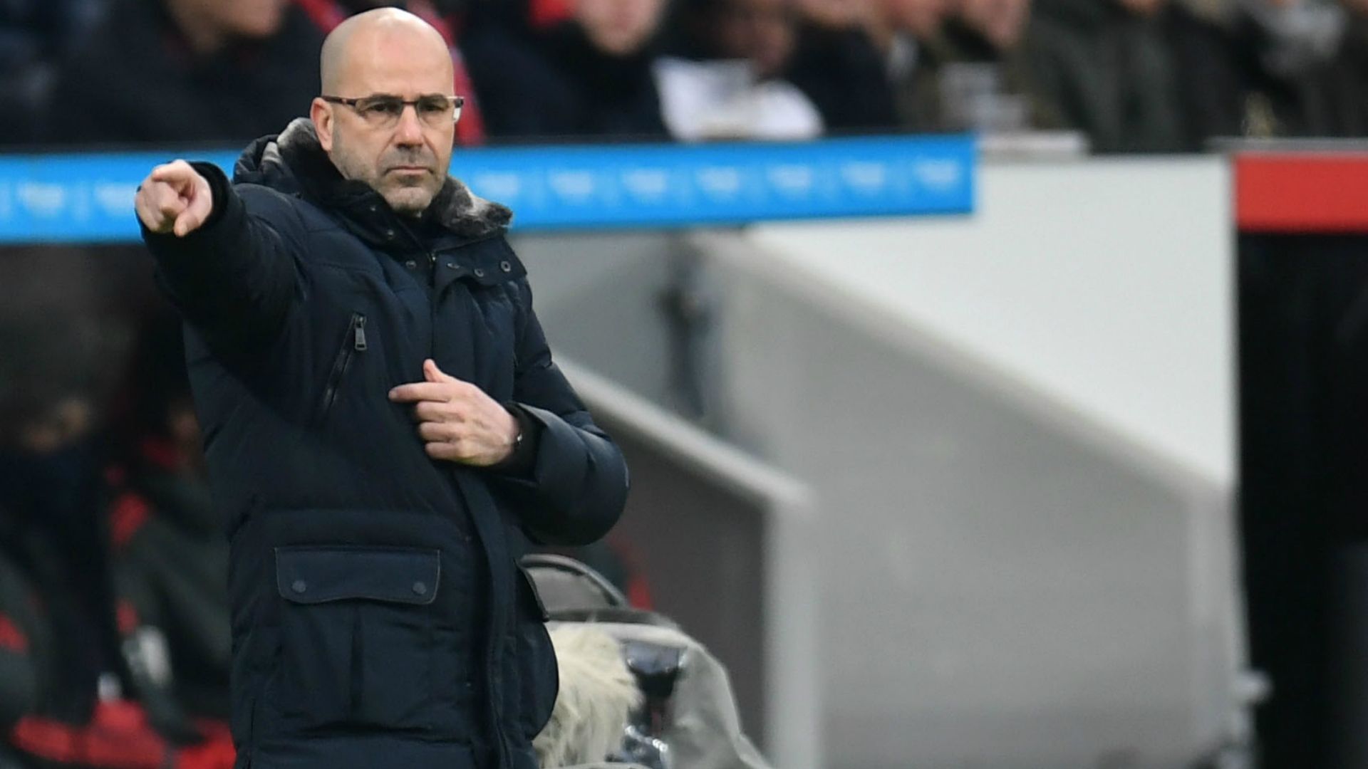 Peter Bosz Bayer Leverkusen 02022019