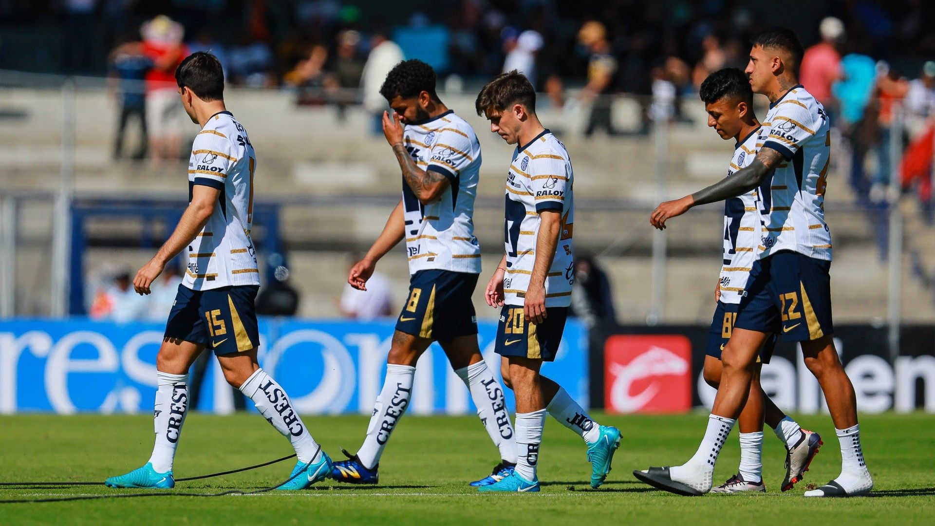 Pumas Apertura 2024 Liga MX