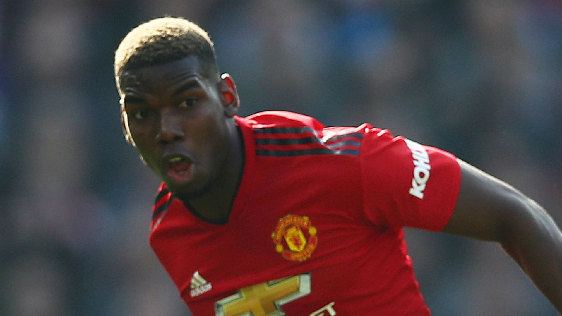 Paul Pogba Manchester United 2018-19