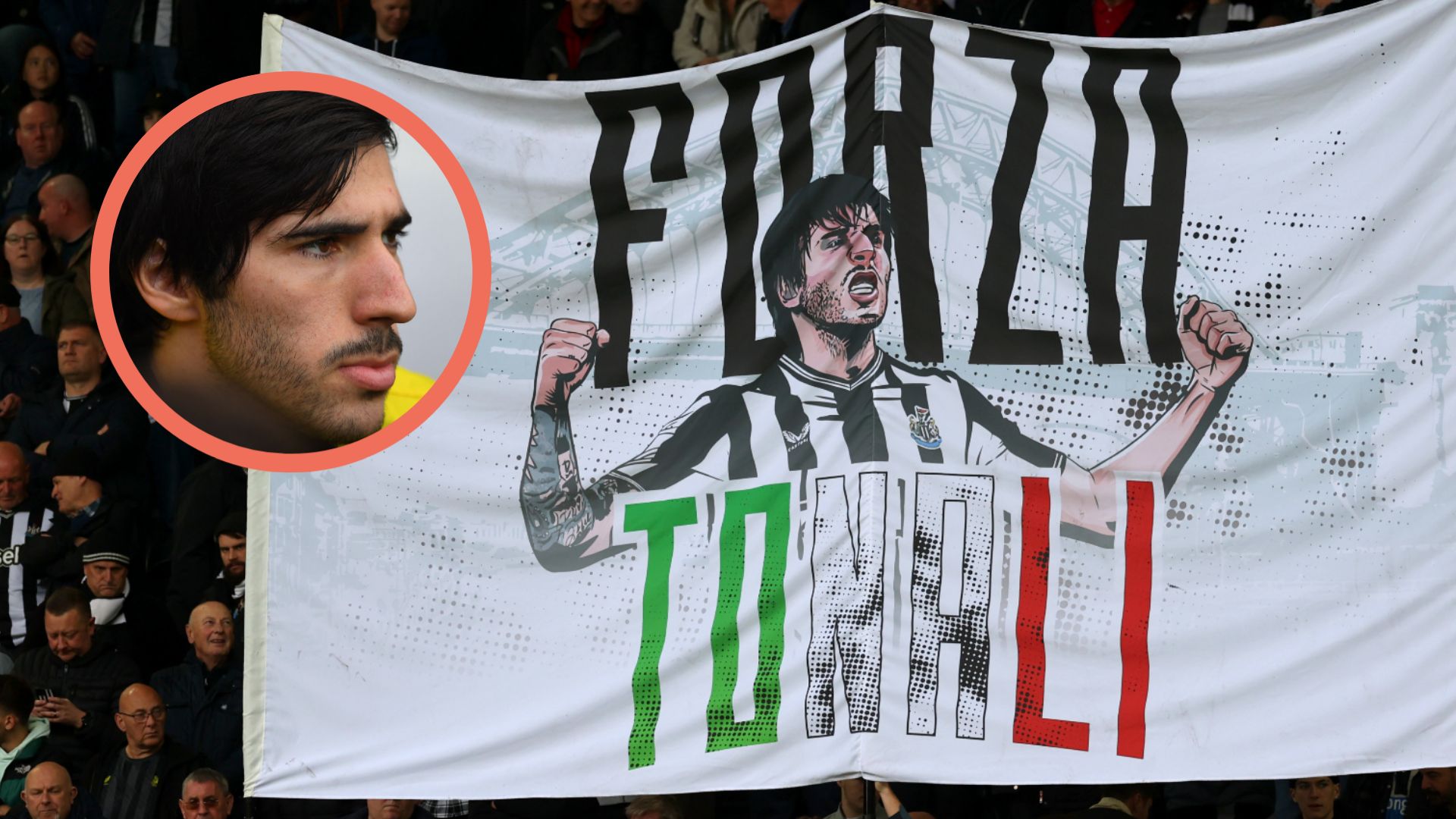 Tonali banner