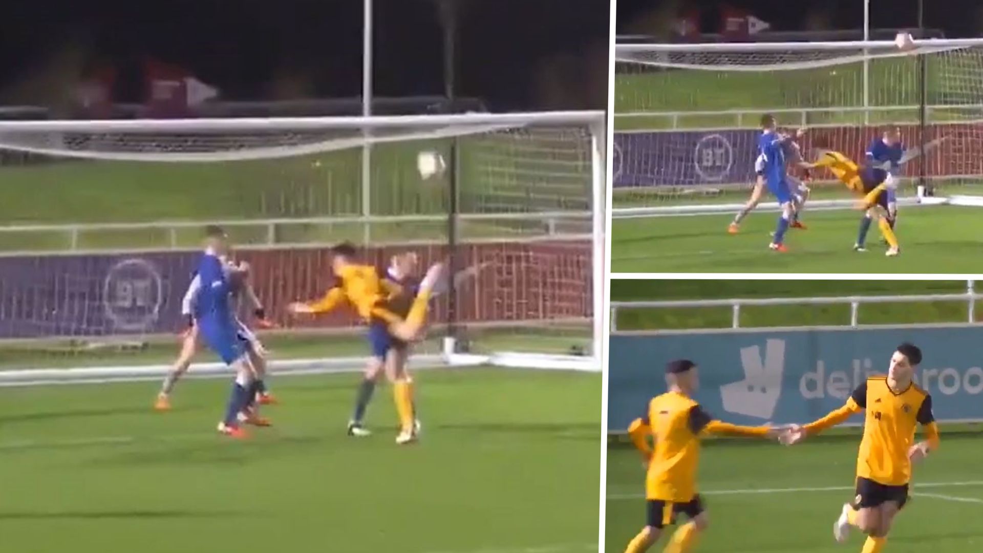 SCORPION KICK VERTEIDIGER WOLVES GFX