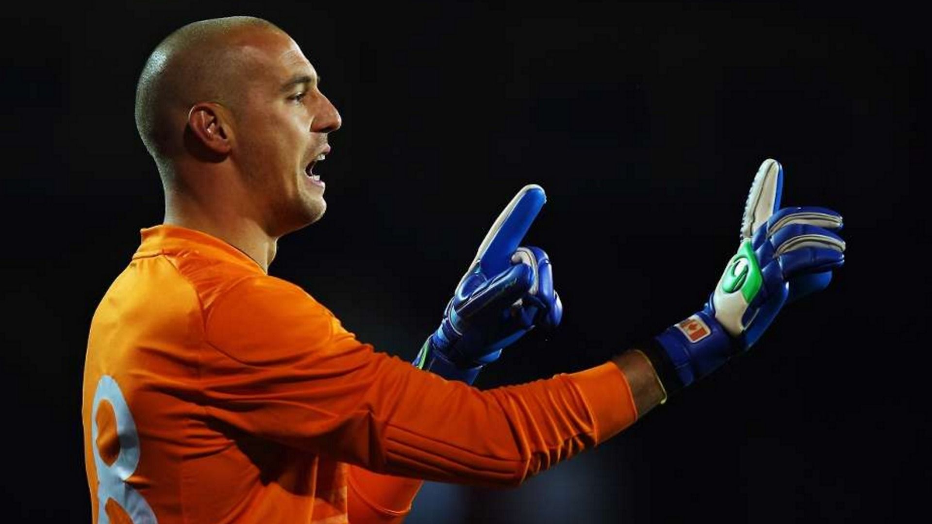 Milan Borjan