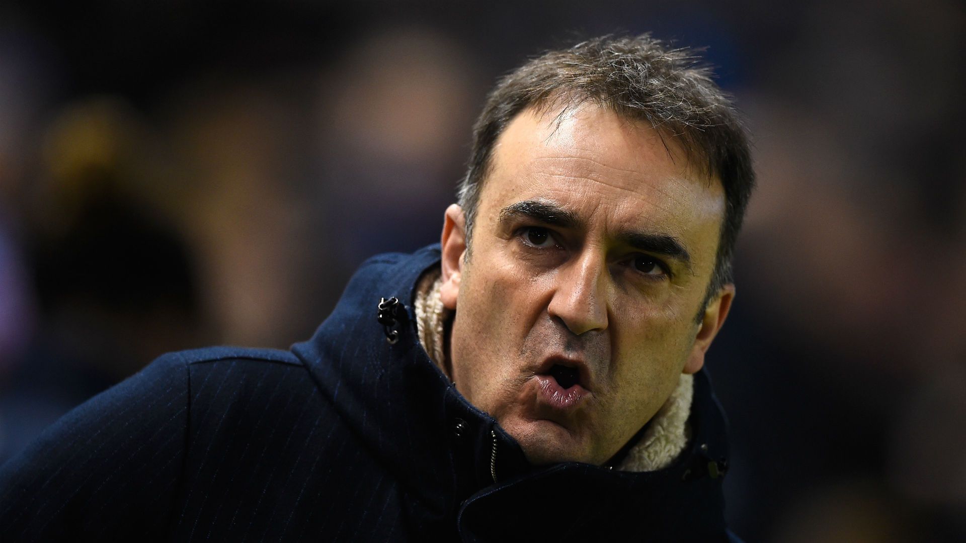 Carlos Carvalhal Sheffiled Wednesday