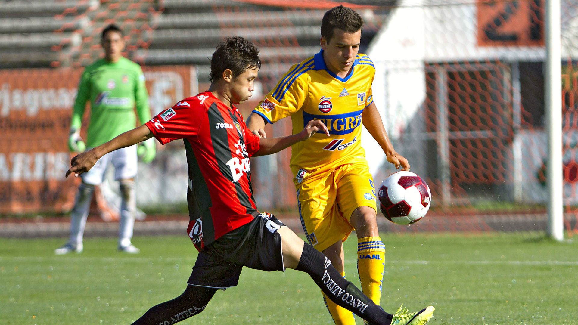 Eder Borelli Tigres