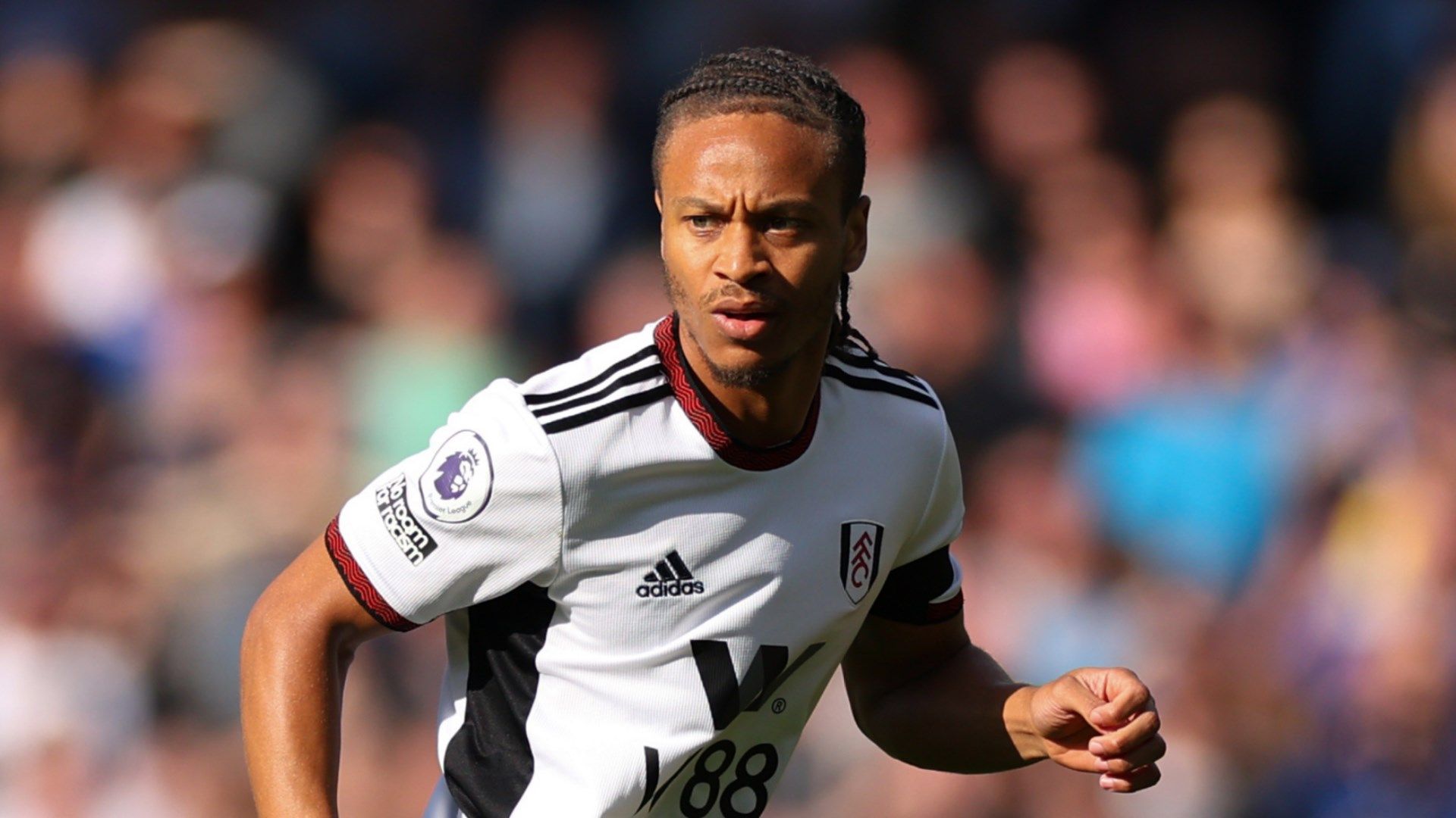 Bobby Decordova-Reid Fulham 2023-24