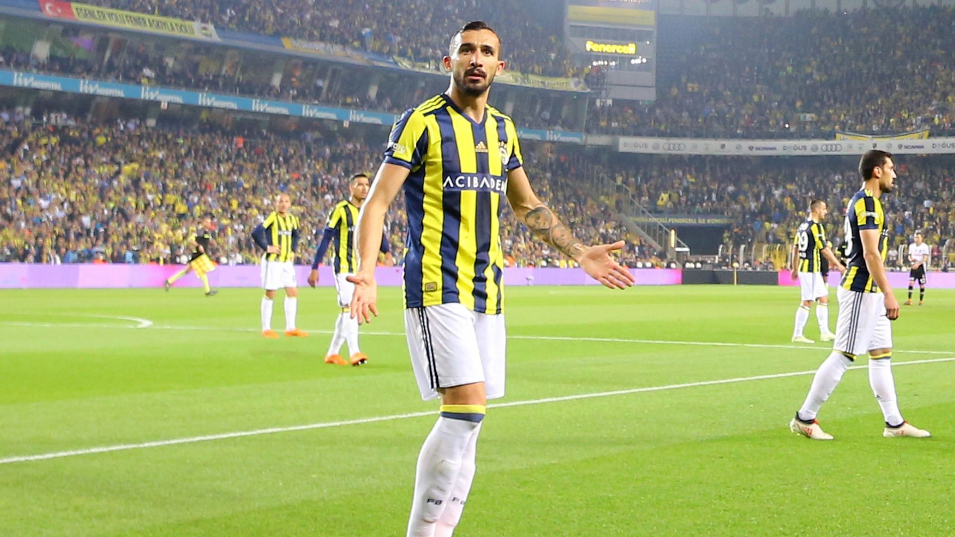 Mehmet Topal Fenerbahce