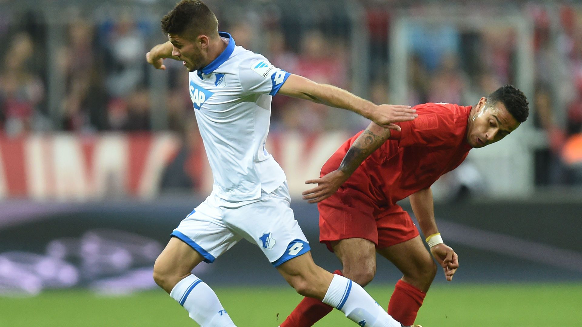 andrej kramaric - bayern hoffenheim - bundesliga - 05112016