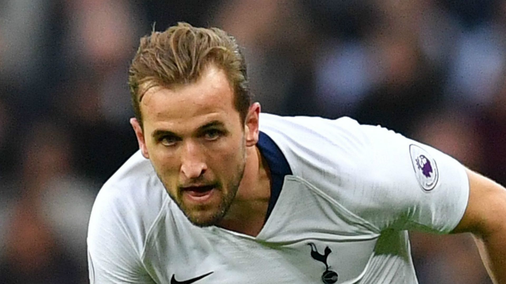 Harry Kane Tottenham 2018-19