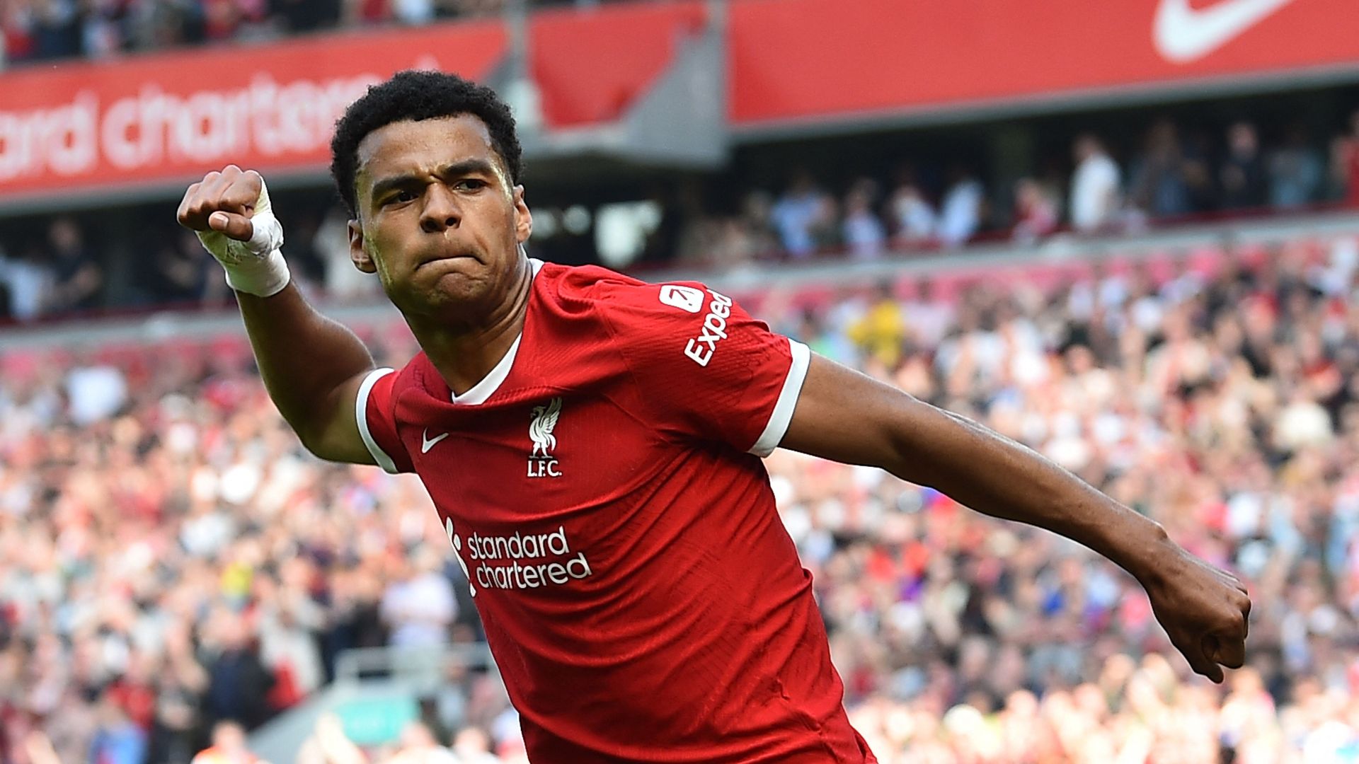 Gakpo, celebrando un gol con el Liverpool