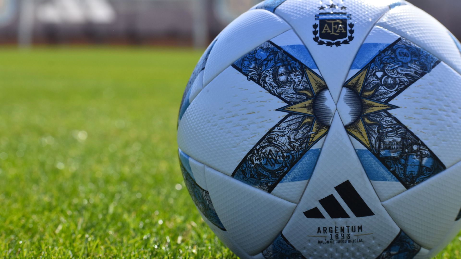 Pelota Argentum 1893 Liga Profesional