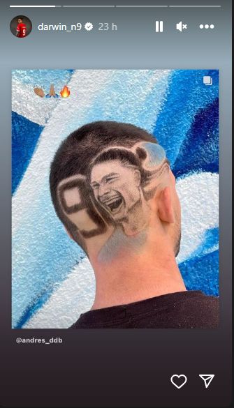 Darwin Nunez fan hair