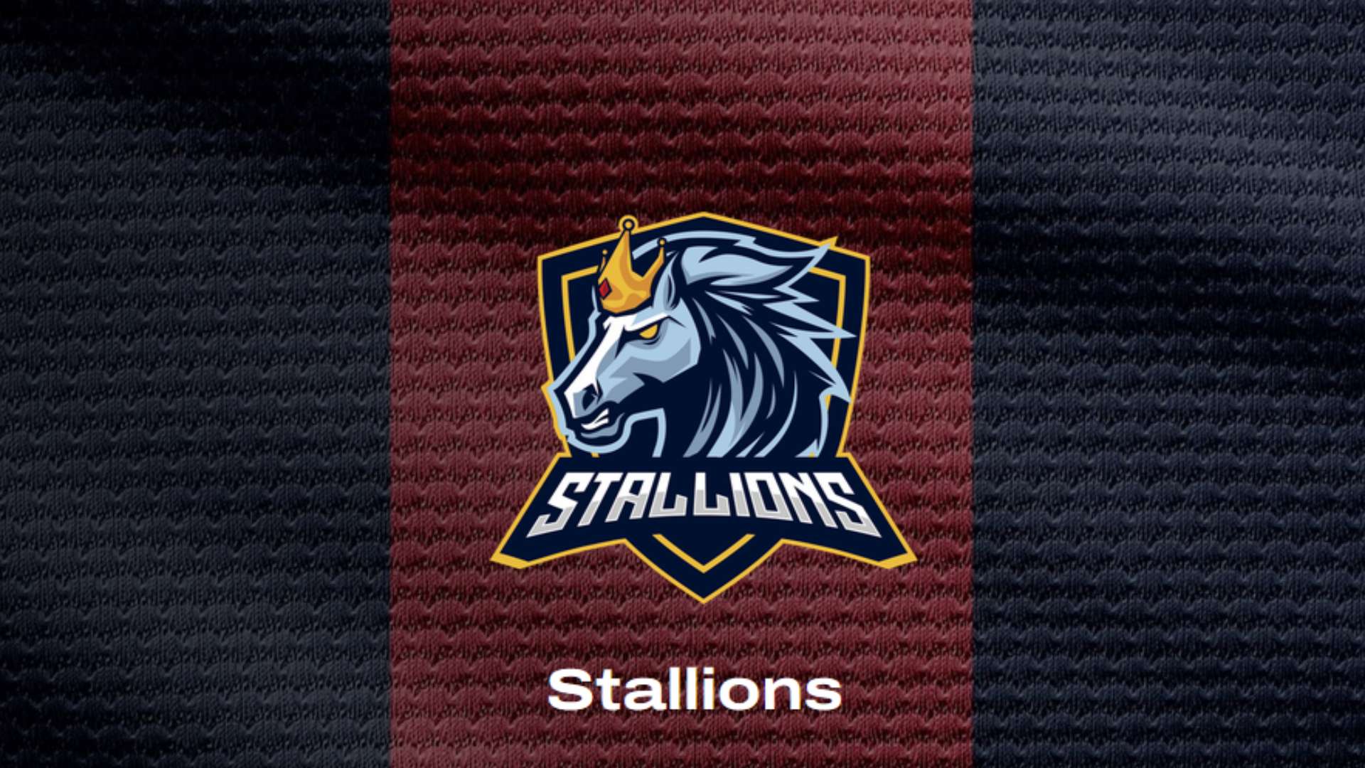 Stallions Kings League