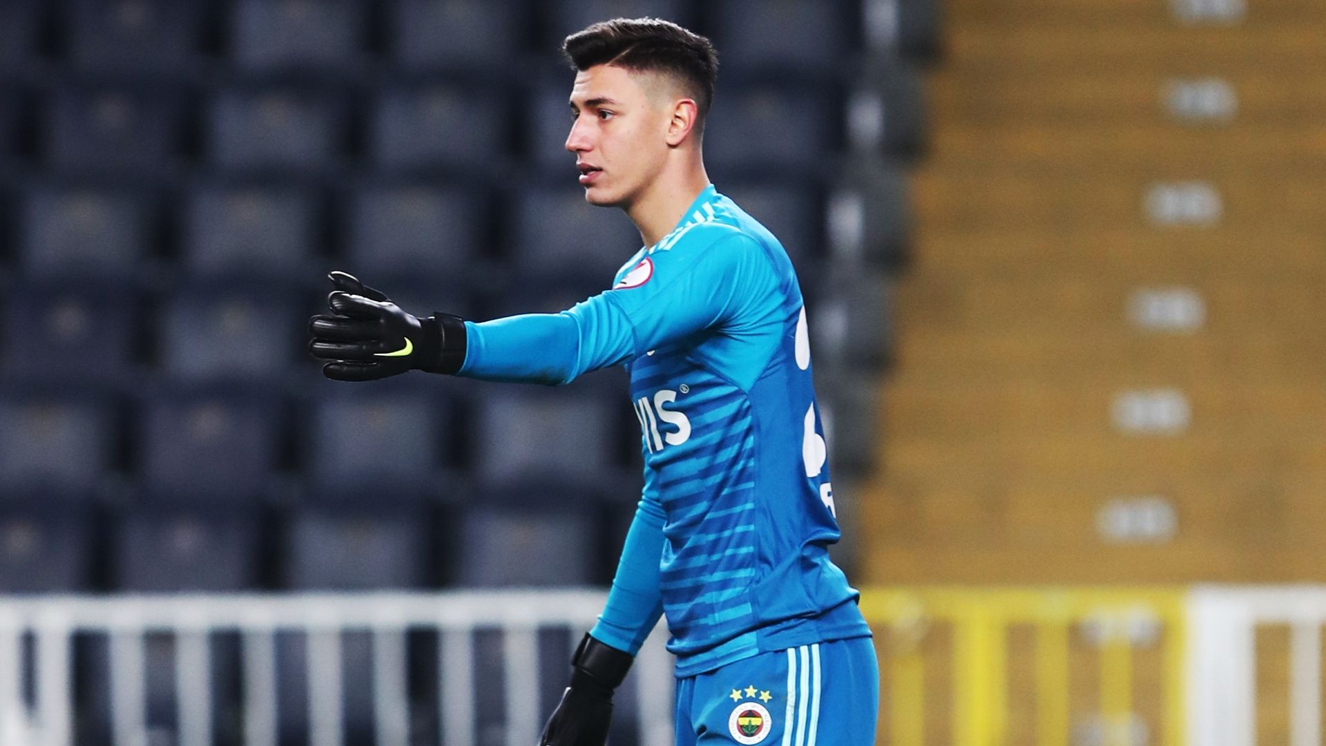 Berke Ozer Fenerbahce