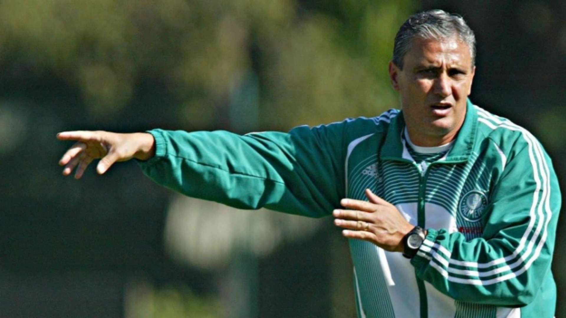 n1qnzbhje26n1gb0qud3hmx9f