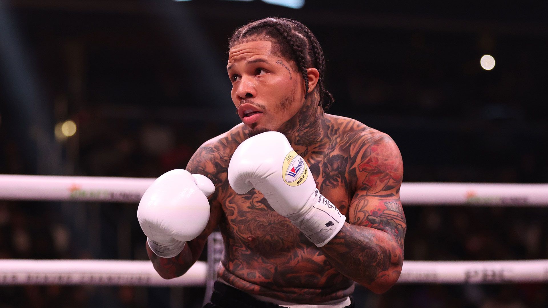 ジャーボンテイデービス着用モデルアダムスボクシングシューズ ジャーボンテイデービス着用モデルアダムスボクシングシューズ