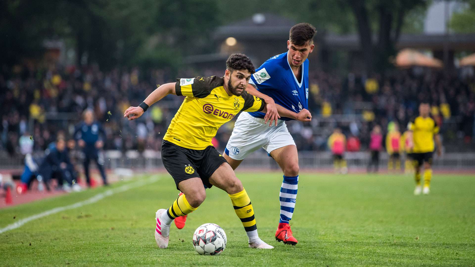 bvb vfb schalke 04 bundesliga u19 borussia dortmund