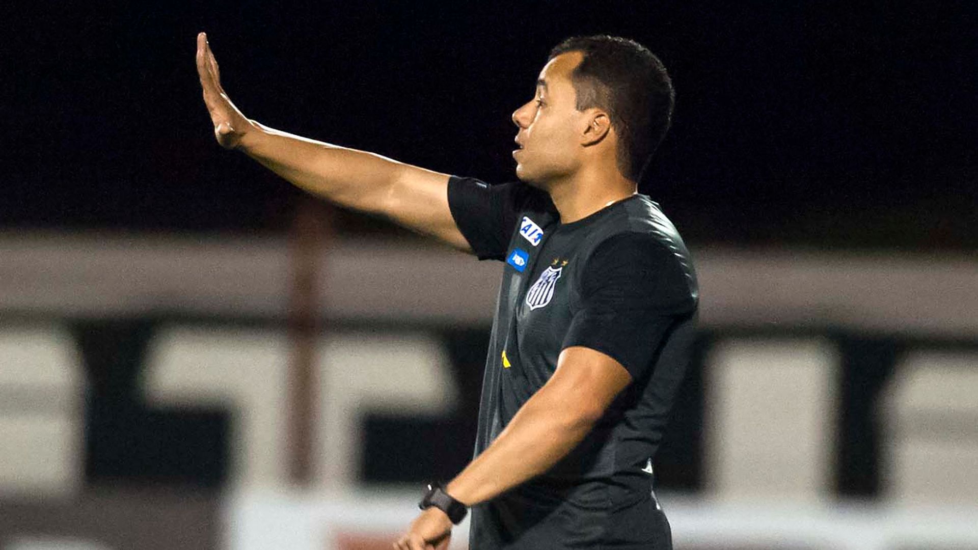 Jair Ventura Linense Santos FC Paulista 17012018