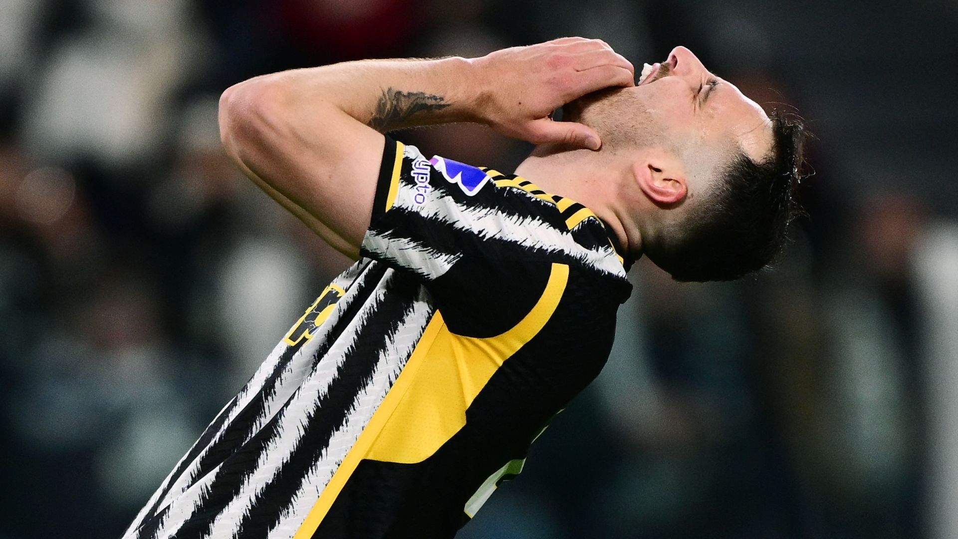 Gatti Juventus Serie A