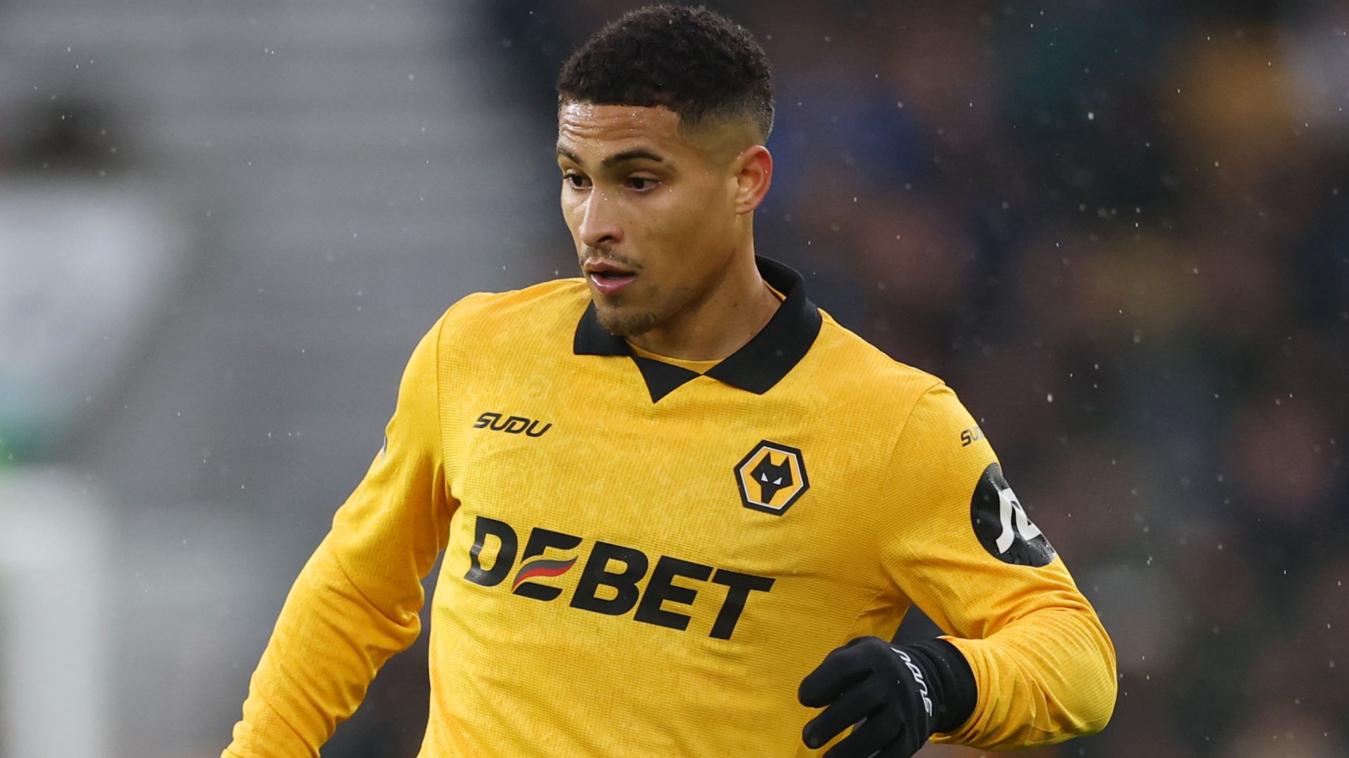 Joao Gomes Wolves 2025-26