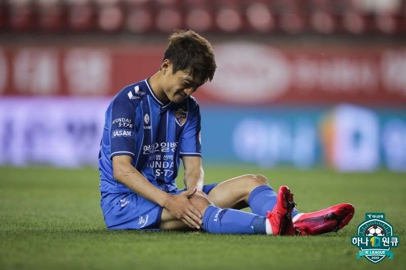 이청용 부상 울산