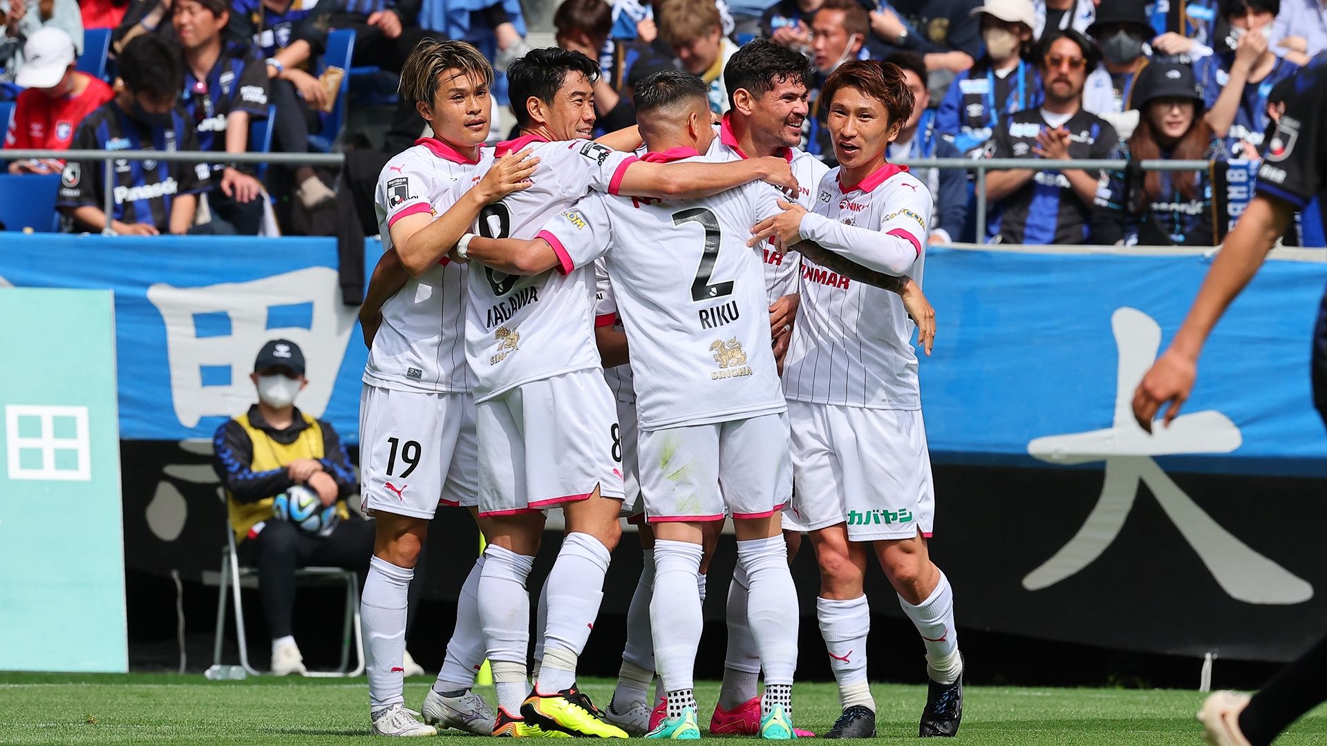 20230503_Gamba_Cerezo2