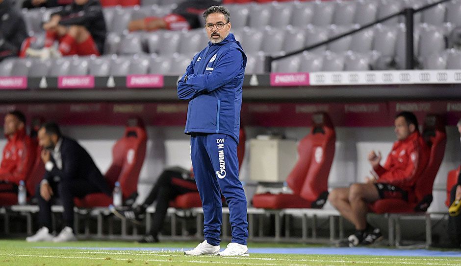 ONLY GERMANY David Wagner Schalke 04 2020