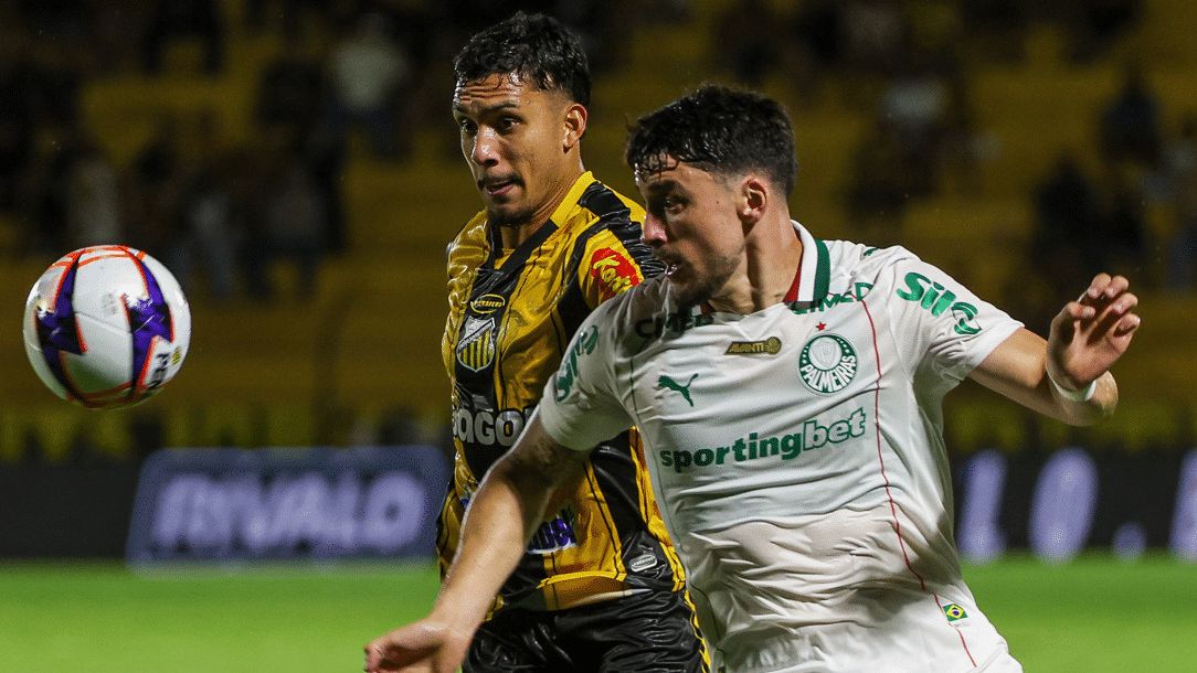 Palmeiras Novorizontino