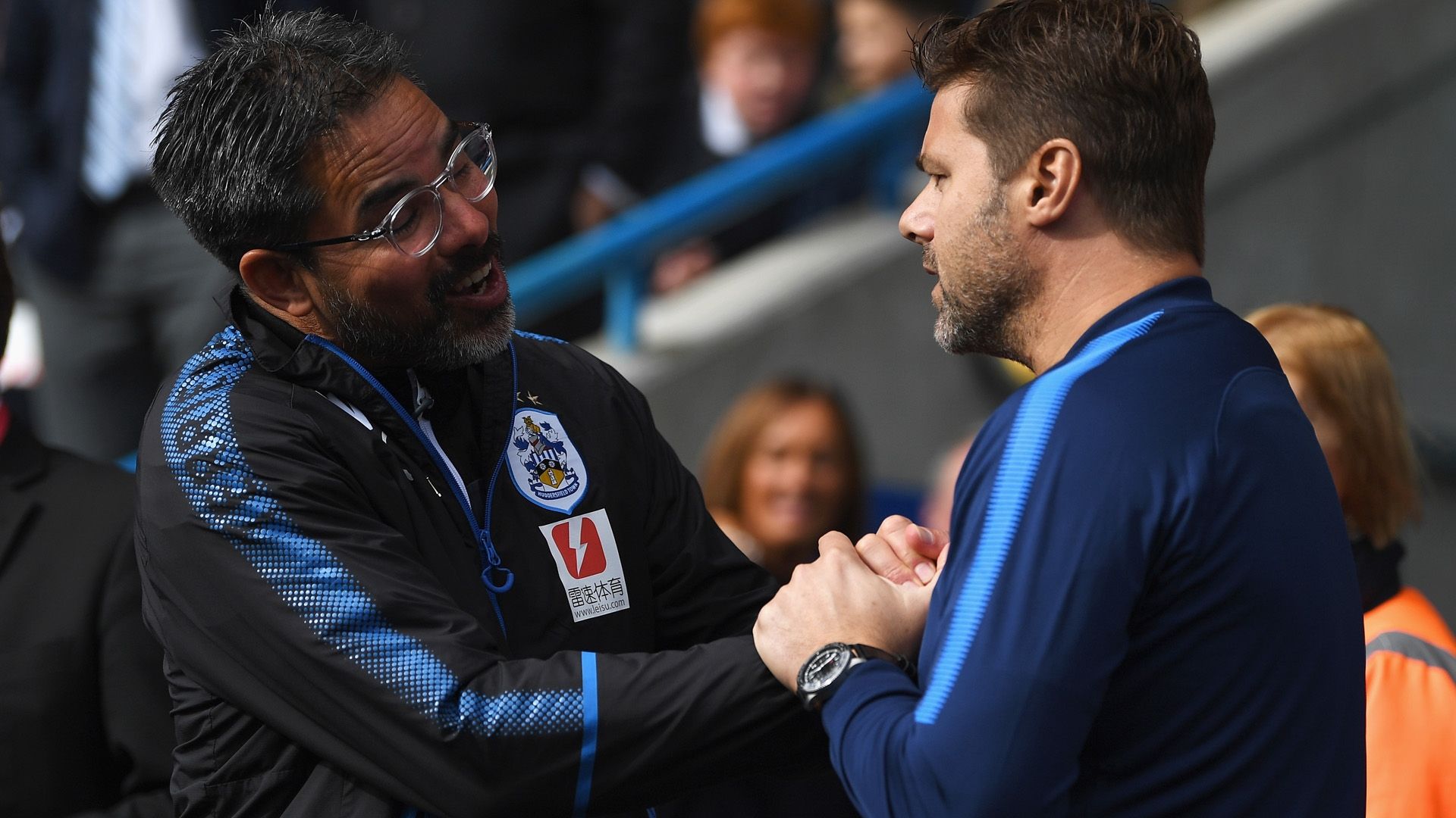 David Wagner Mauricio Pochettino 2018