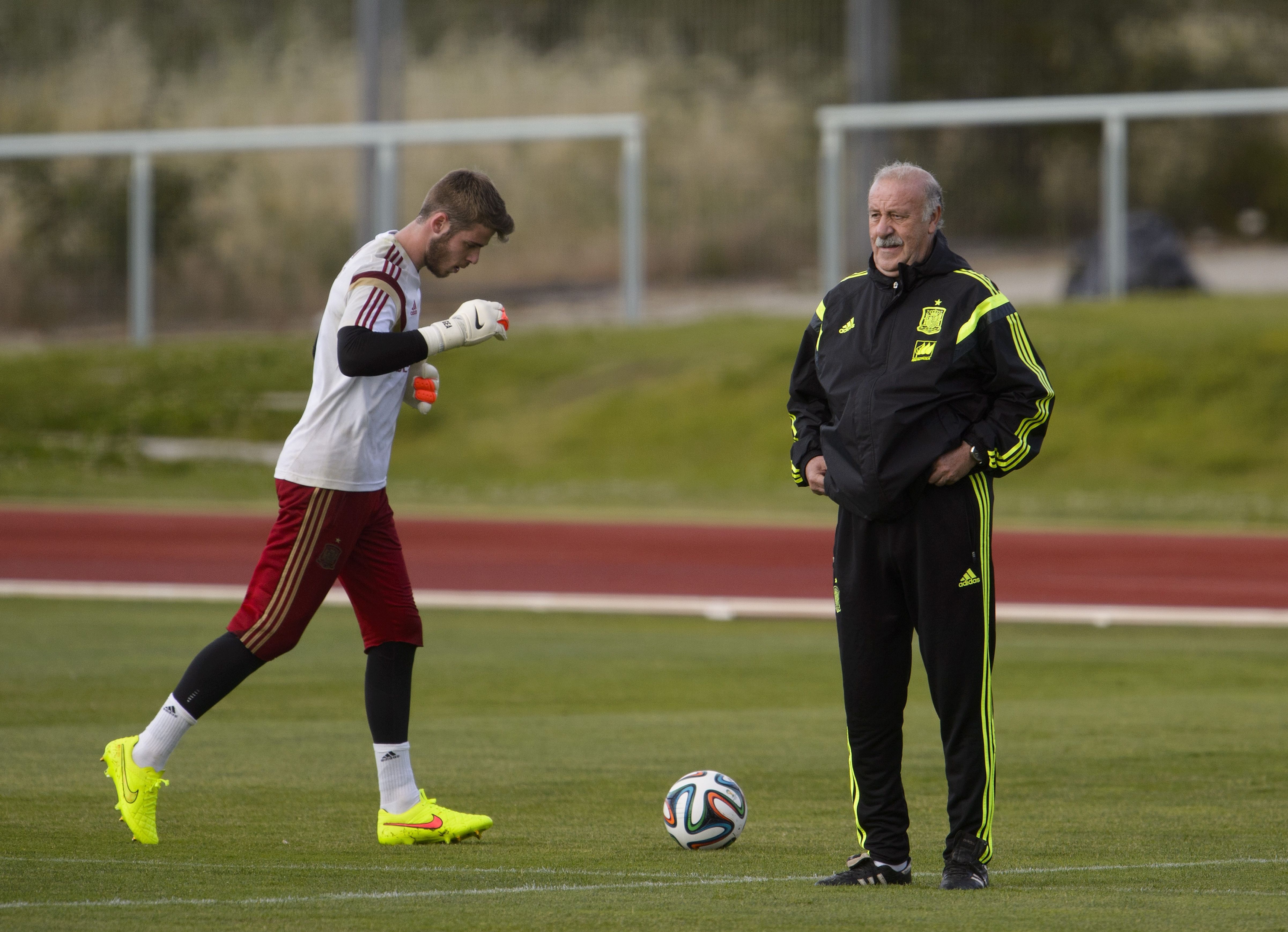 David De Gea & Vicente Del Bosque