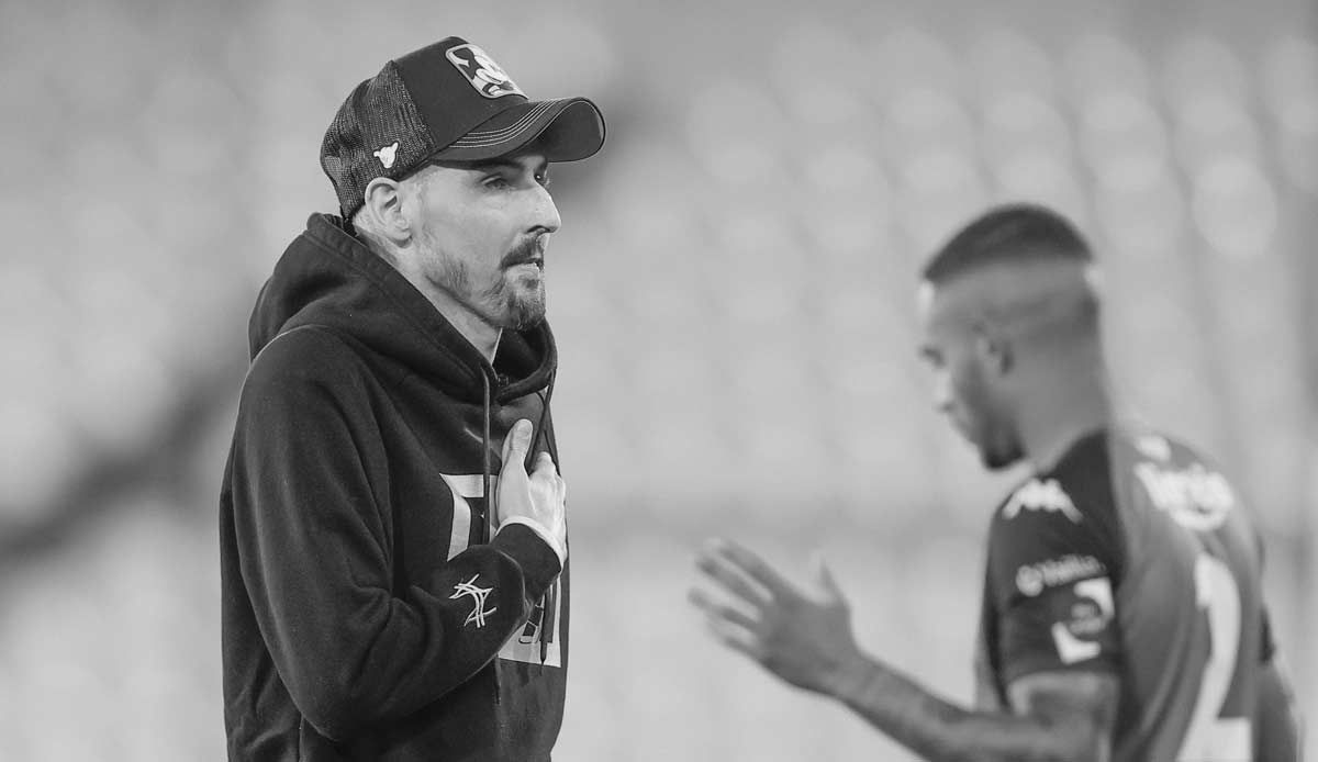 GERMANY ONLY: MIGUEL VAN DAMME CERCLE