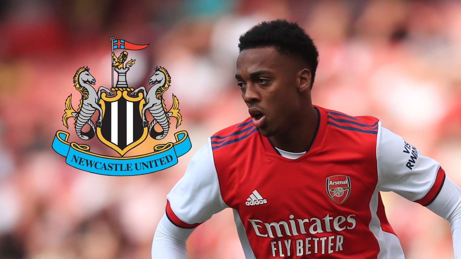 GFX Joe Willock Newcastle