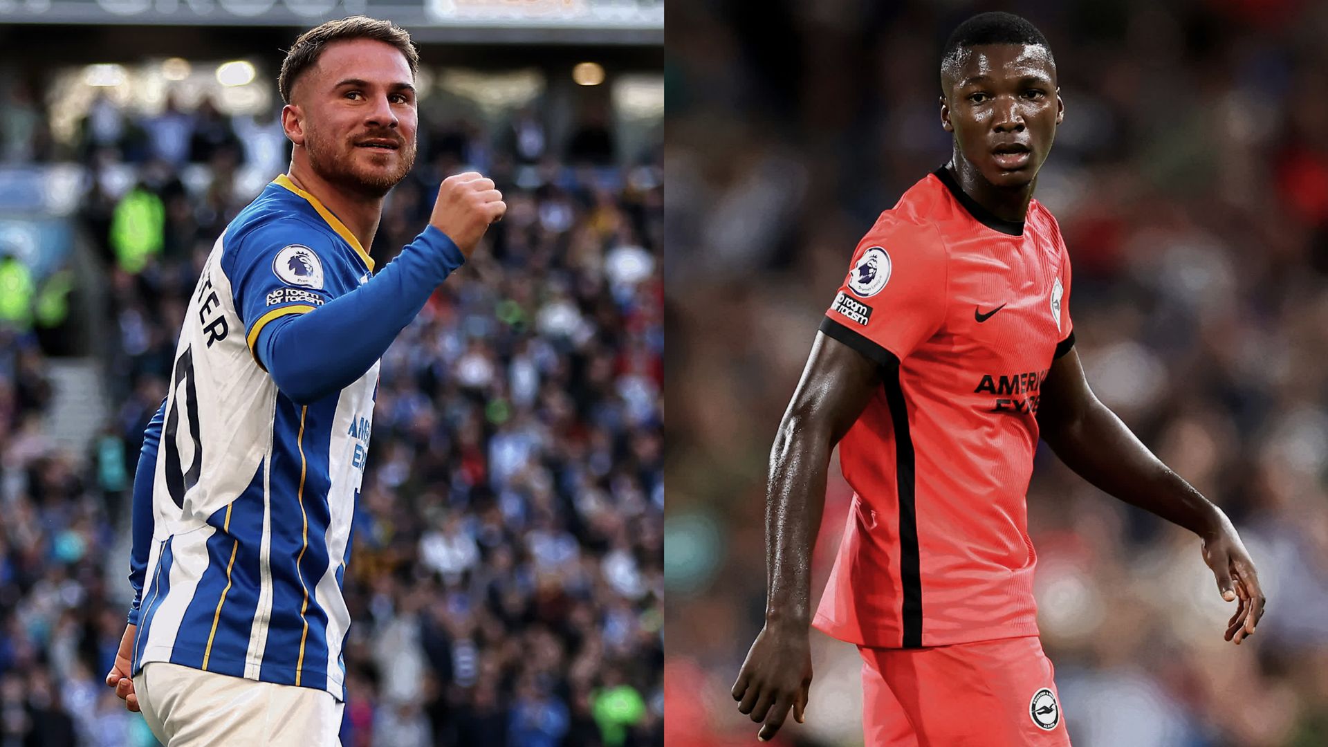 Mac Allister Caicedo Brighton split