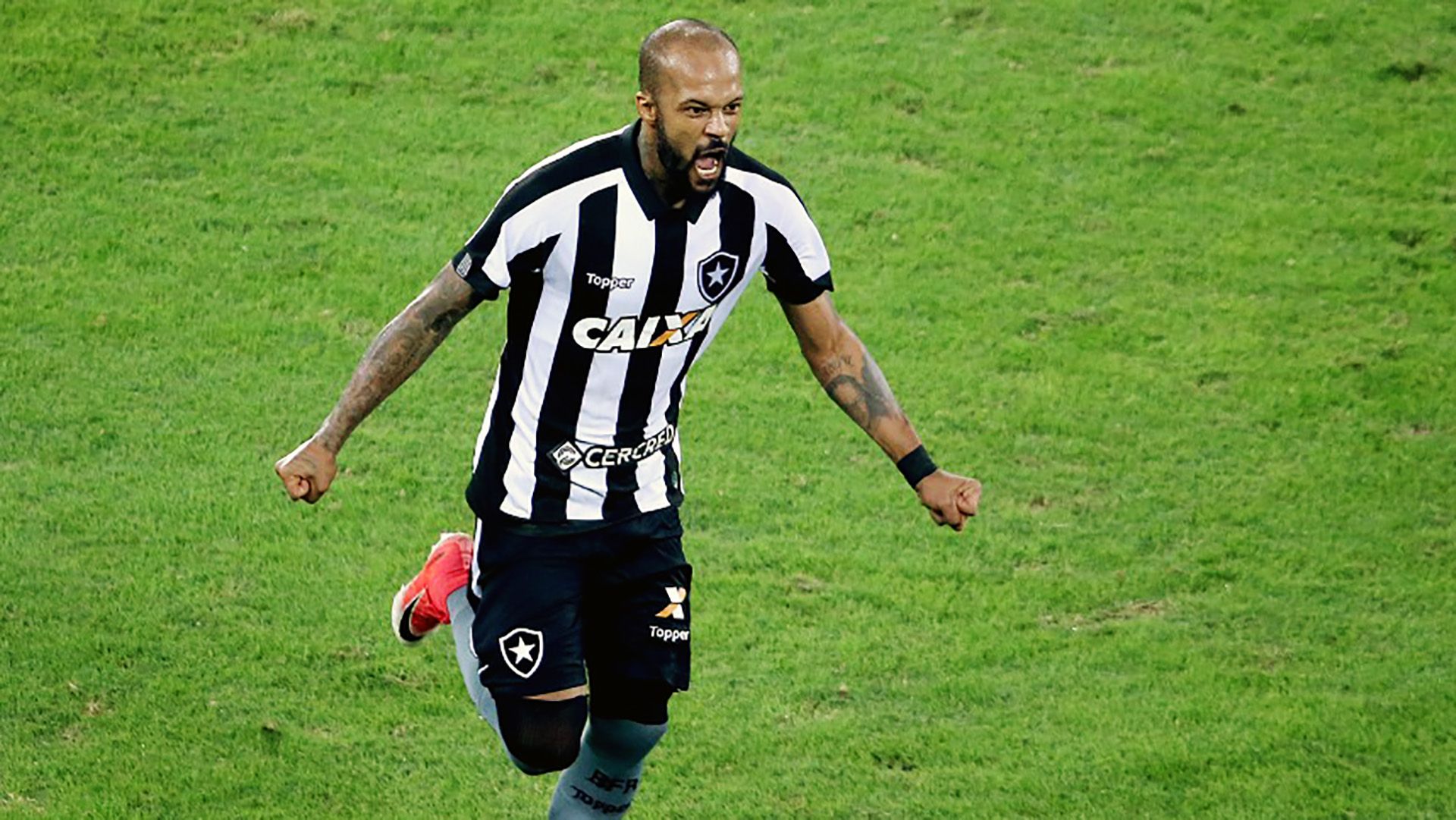 Bruno Silva Botafogo Bahia Brasileirao Serie A 28052017