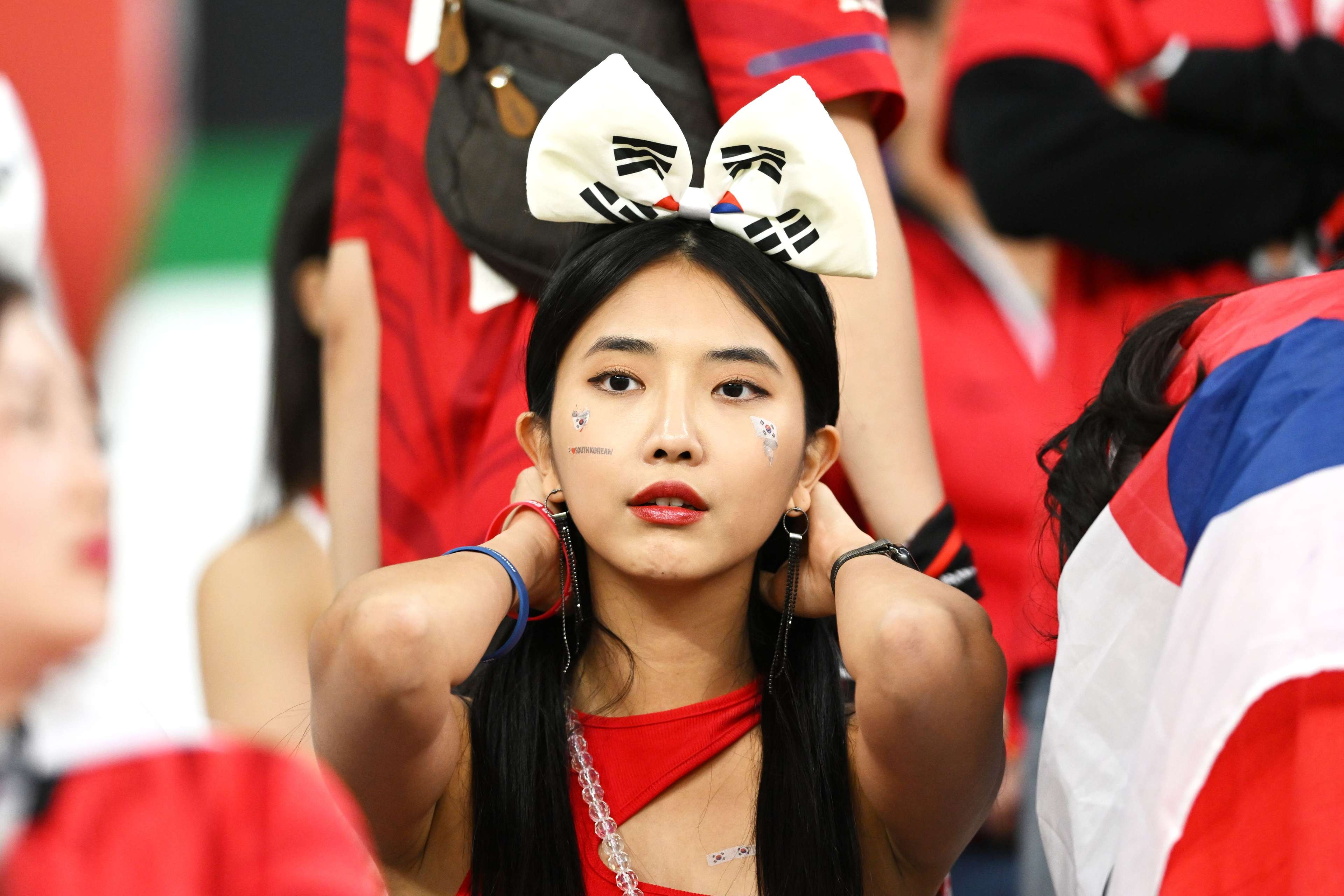 South Korean Fan WC 2022