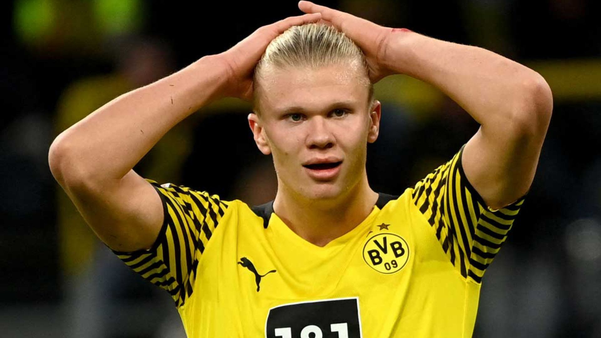 ERLING HAALAND BORUSSIA DORTMUND