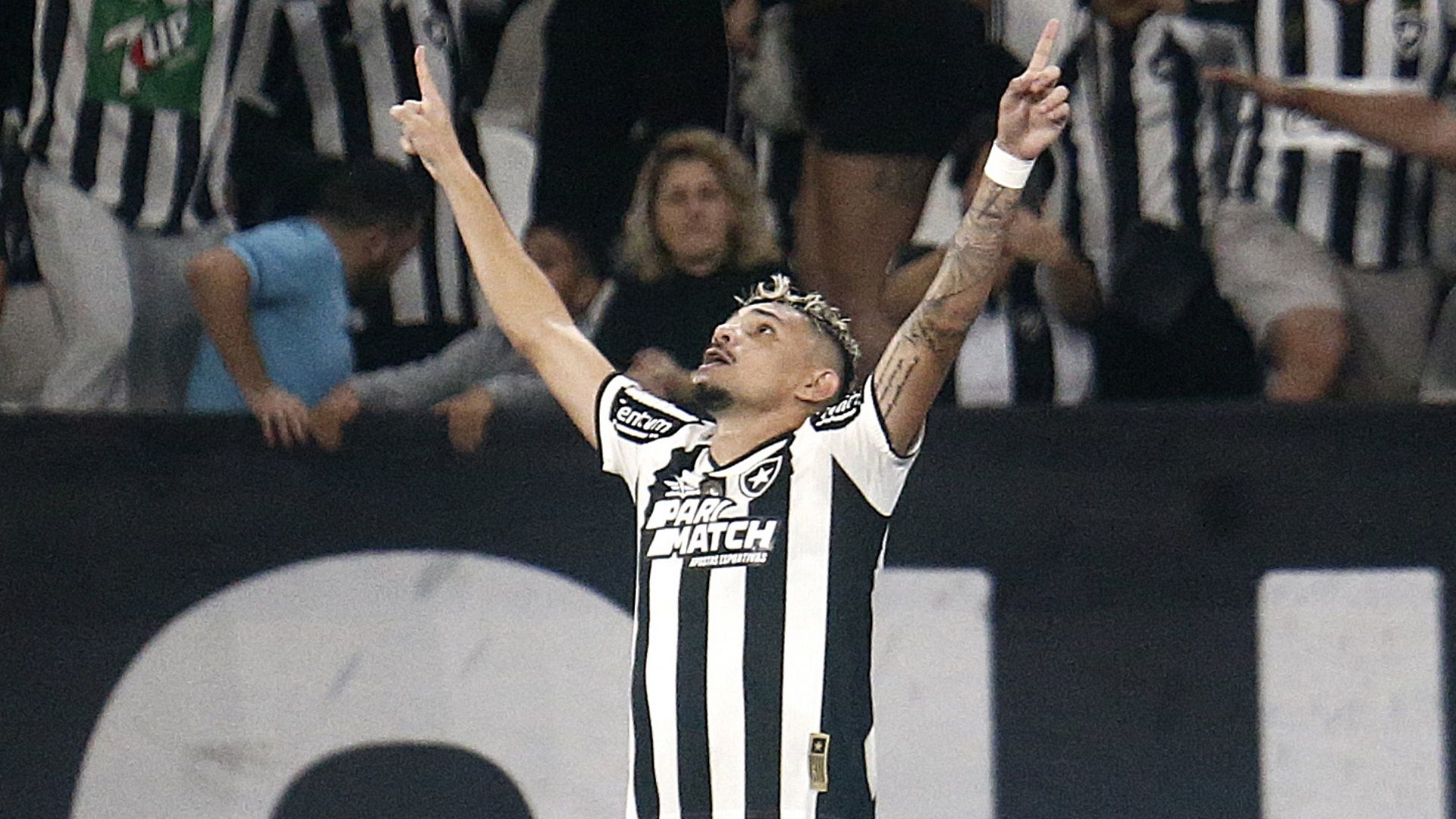 Tiquinho Soares, Botafogo 2024