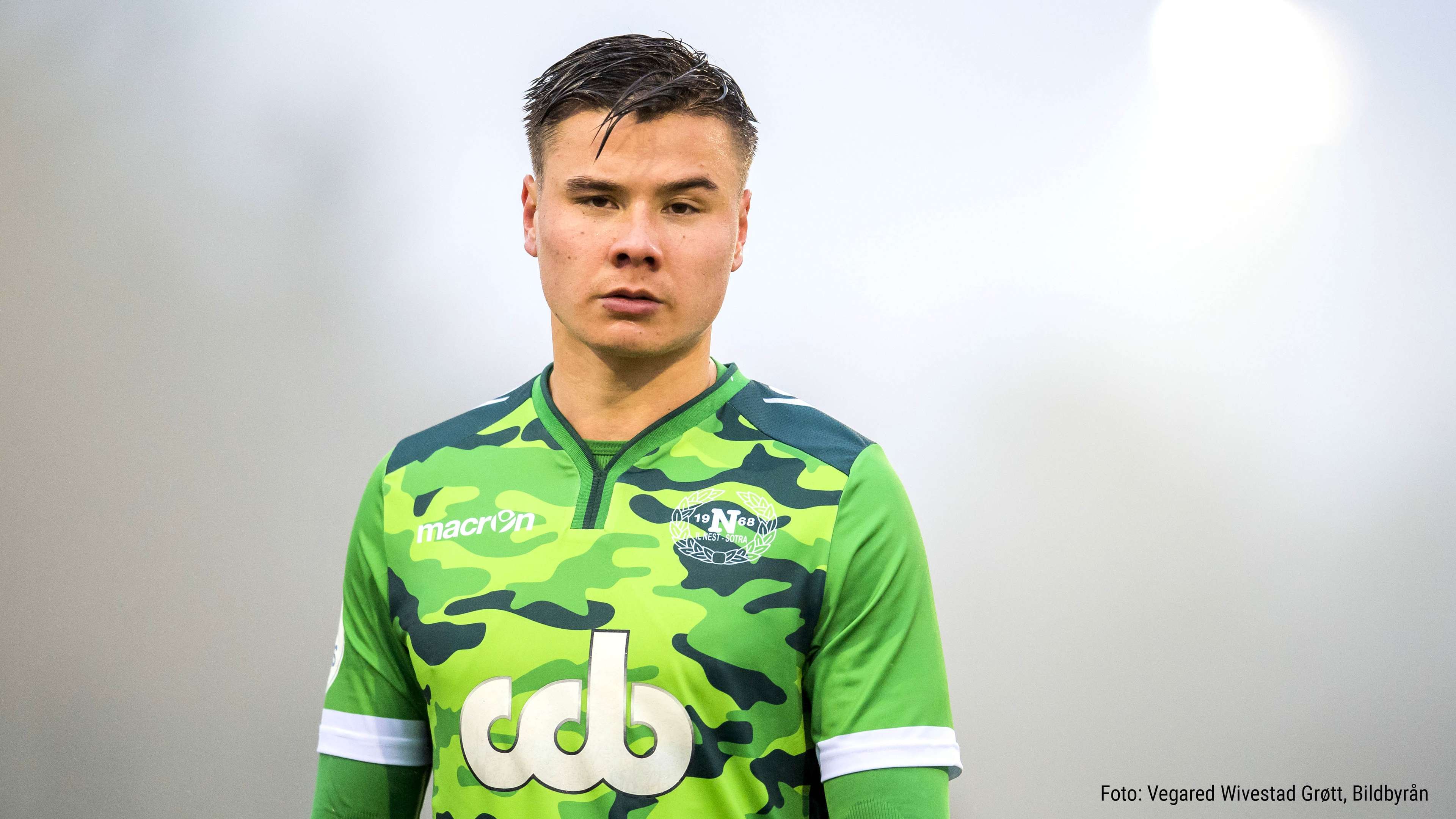 Alexander Dang - Nest Sotra IL