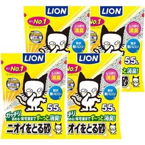 20250711_Nichiyou_5_2