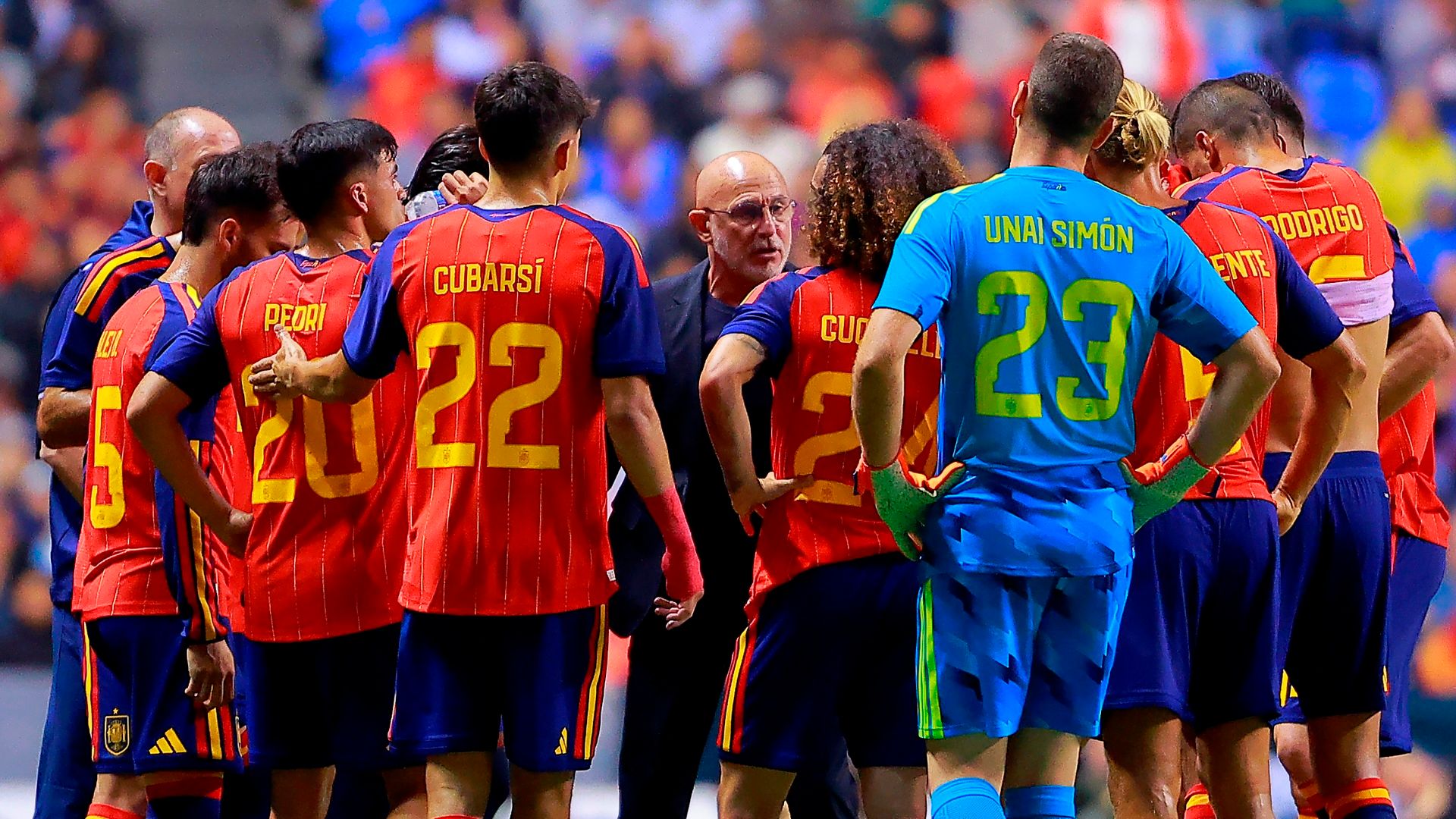 Luis de la Fuente - Spain 2026