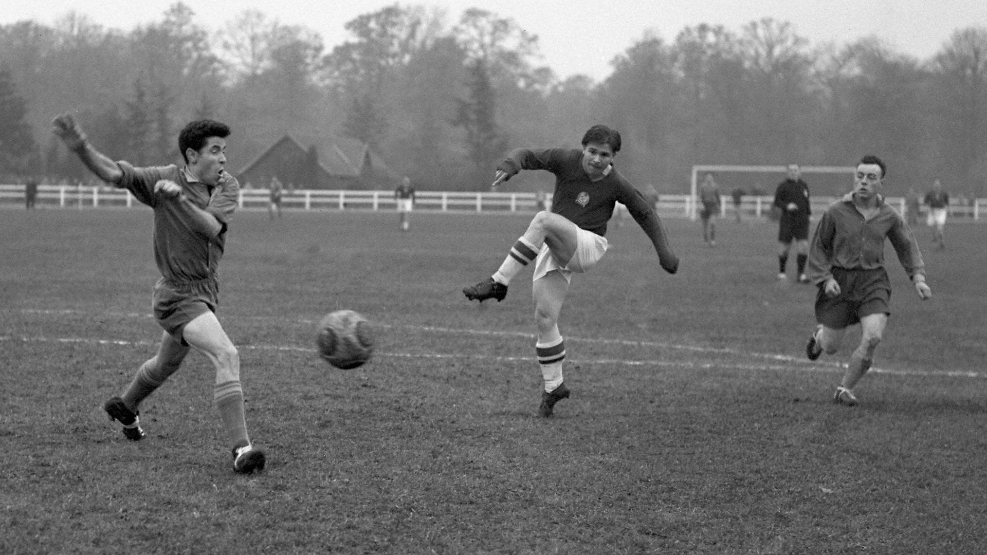 Ferenc Puskas Hungary