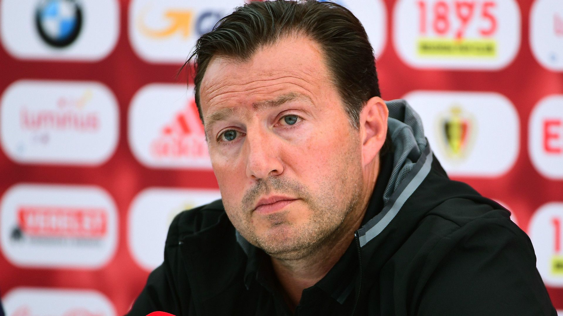 Marc Wilmots, ct del Belgio