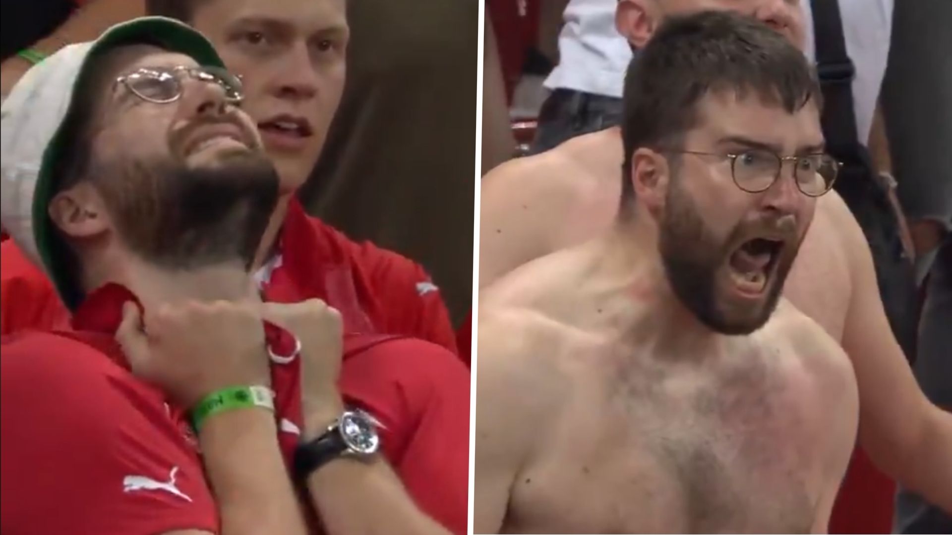 แฟนบอลสวิตเซอร์แลนด์