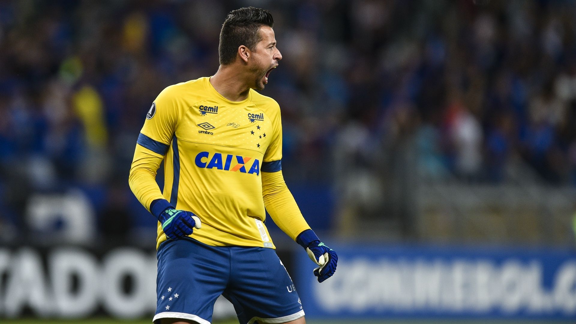 Fábio Cruzeiro Universidad de Chile Copa Libertadores 26042018
