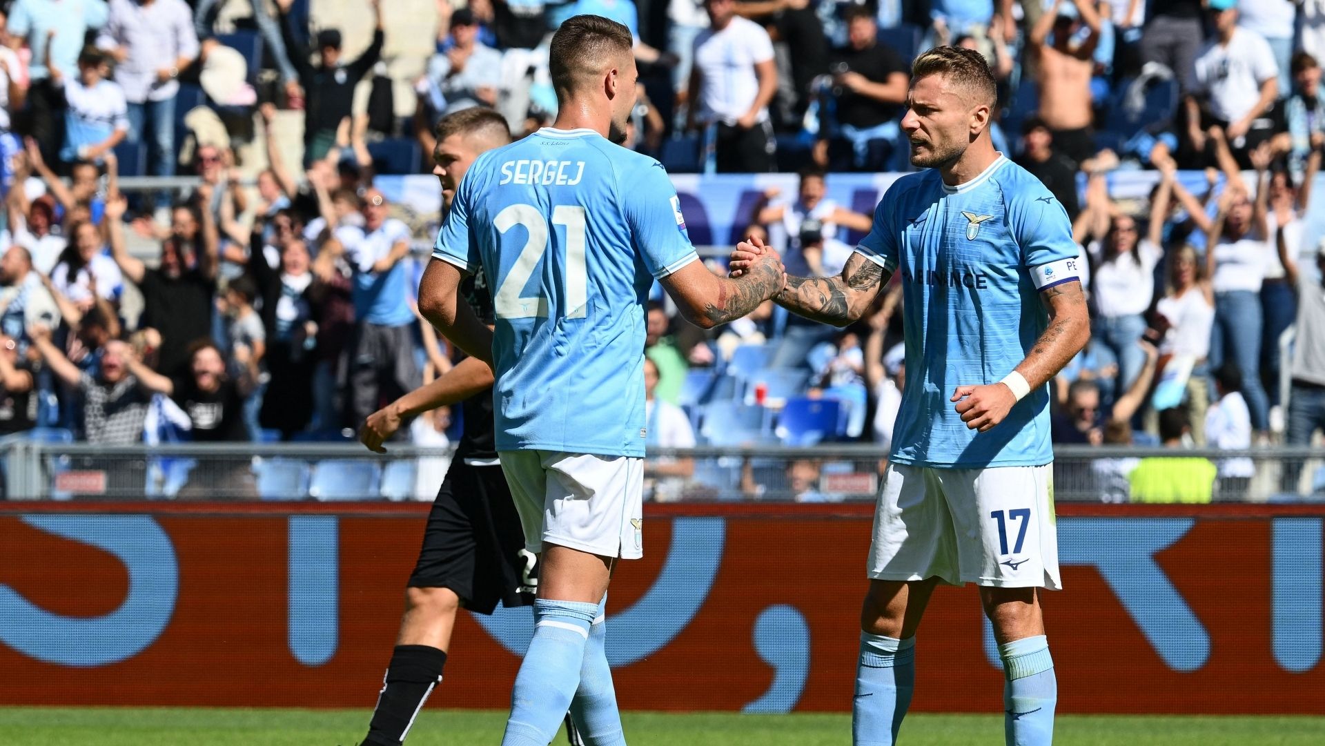 milinkovic immobile