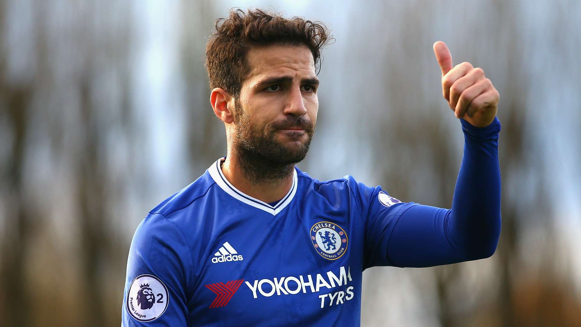 Fabregas - Cropped