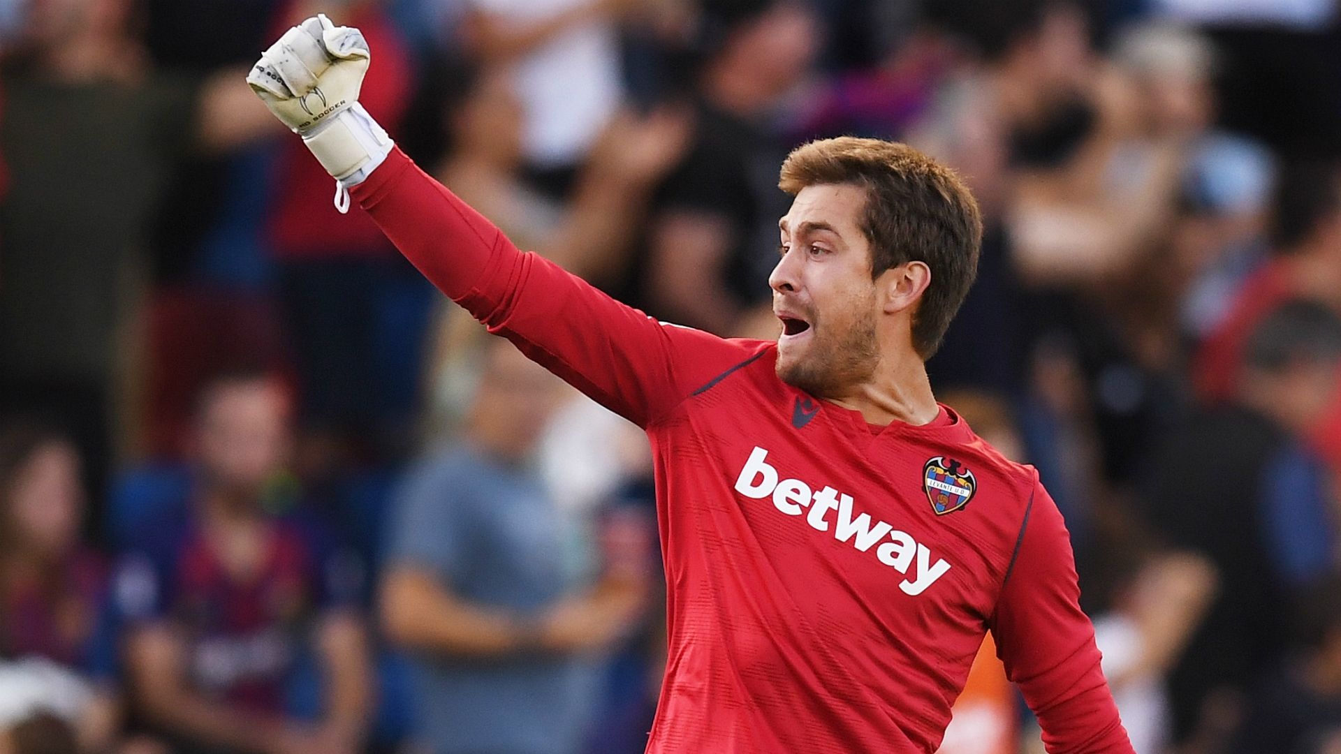 Aitor Fernandez Levante