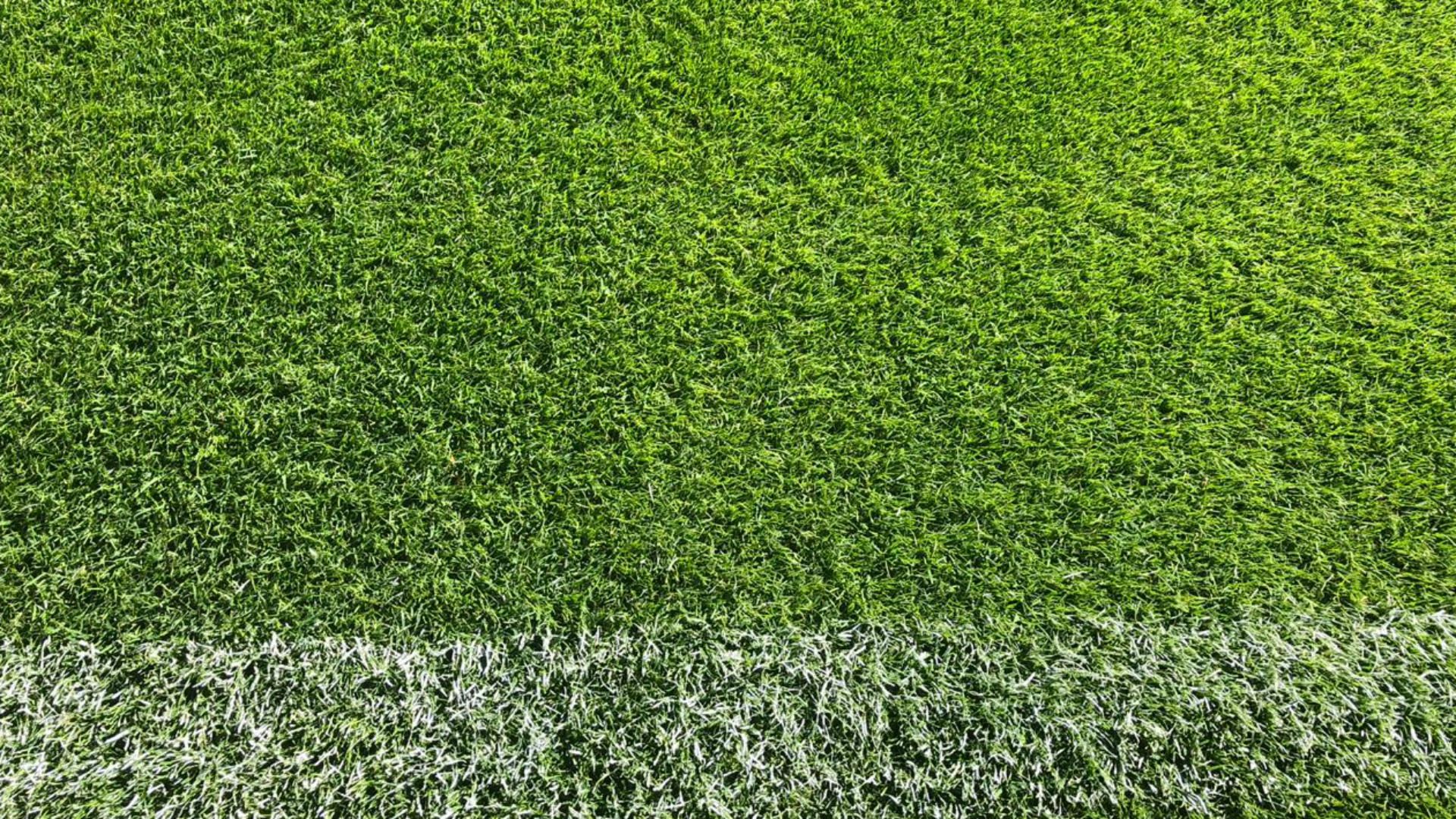 cesped monumental 2018