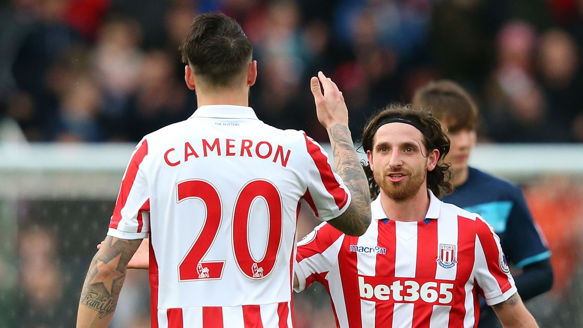 Geoff Cameron Joe Allen Stoke City EPL 030417